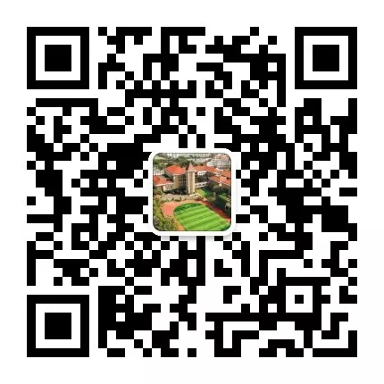 WeChat Public Account